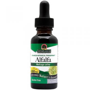 Alfalfa Herb