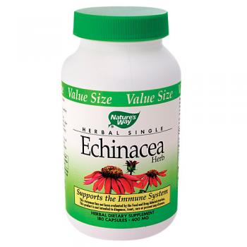 Echinacea Purpurea Herb