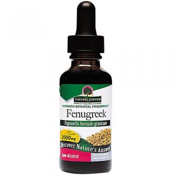 Fenugreek Seed