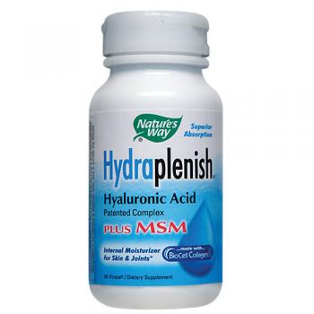 Hydraplenish Hyaluronic Acid Plus MSM