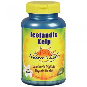 Icelandic Kelp