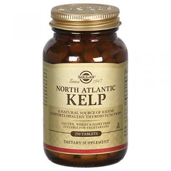 North Atlantic Kelp