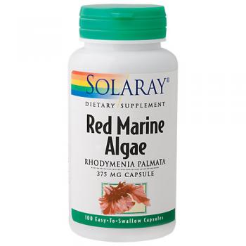 Red Marine Algae