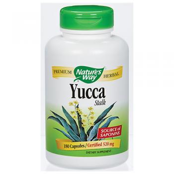 Yucca (Stalk)
