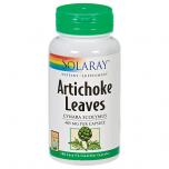 Artichoke Leaves