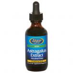 Astragalus Extract