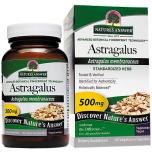 Astragalus Root Extract