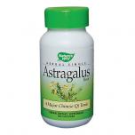 Astragalus Root