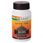 Bacopa Ayurvedic Herbs