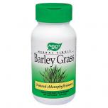 Barley Grass