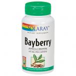 Bayberry