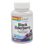 Black Elderberry with Sambuactin