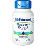 Blueberry Extract