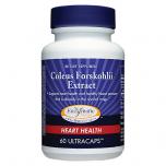 Coleus ForskohlII Extract