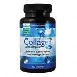 Collagen Type 2 Joint Complex