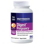 Digest Pregnancy