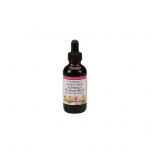 Echinacea Blackberry Premium Blend