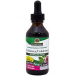 Echinacea Goldenseal Liq Extract (AF)