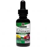 Echinacea Grape Flavor