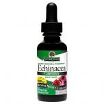 Echinacea