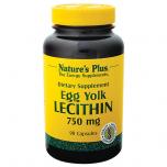 Egg Yolk Lecithin