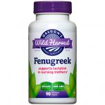 Fenugreek