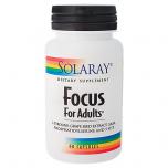 Focus For Adults
