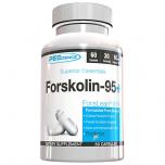 Forskolin 95