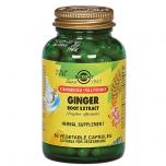 Ginger Root Extract