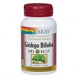 Ginkgo Biloba One Daily