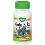 Gotu Kola