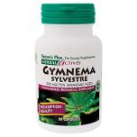 Gymnema Sylvestre