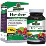 Hawthorn Leaf Extract