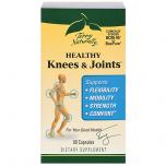 HEALTHY KNEES JOINTS