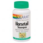 Horsetail Shavegrass