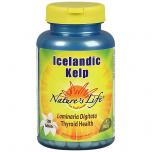 Icelandic Kelp