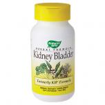 Kidney Bladder