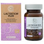 Lactaction Plus