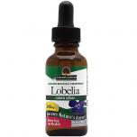 Lobelia Herb