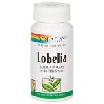 Lobelia