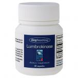 Lumbrokinase