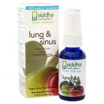 Lungs and Sinus