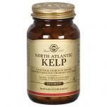 North Atlantic Kelp