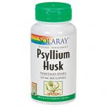 Psyllium Husk