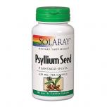 Psyllium Seed