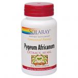 Pygeum Africanum (Extract)