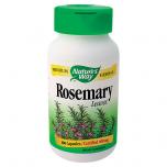 Rosemary Leaves