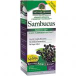 Sambucus