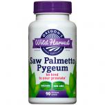 SAW PALMETTO/PYGEUM