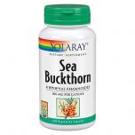 Sea Buckthorn